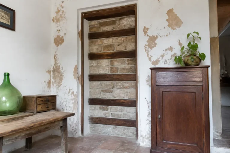 Intérieur avec porte murée en briques, placard en bois, plante verte et carafe en verre sur table.