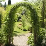 Arche de jardin verdoyante entourée de fleurs et sentier ensoleillé.
