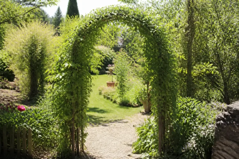 Arche de jardin verdoyante entourée de fleurs et sentier ensoleillé.