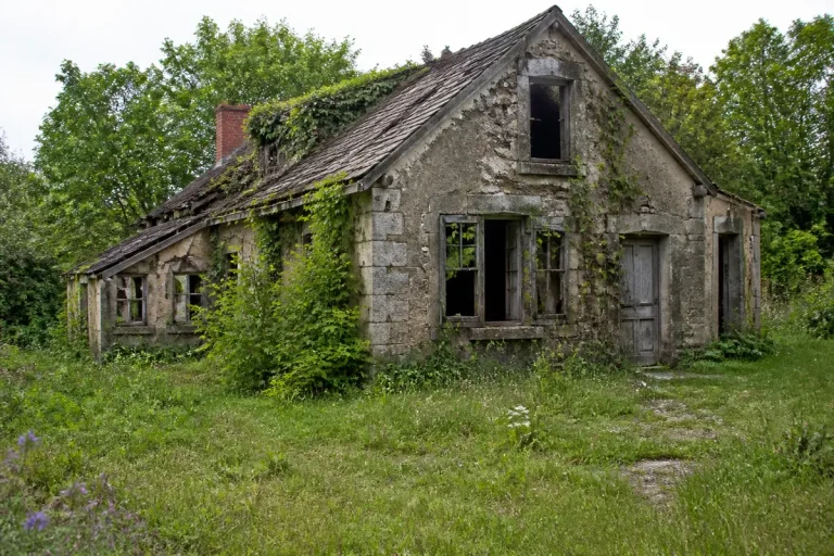 Maison abandonnée en pierre, envahie par la végétation, située dans un cadre rural verdoyant et paisible.