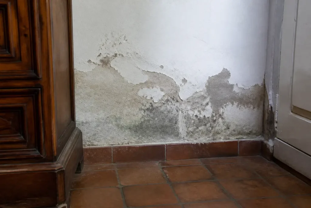 Mur intérieur détérioré par l'humidité, peinture écaillée, carrelage en terre cuite, meuble en bois visible.