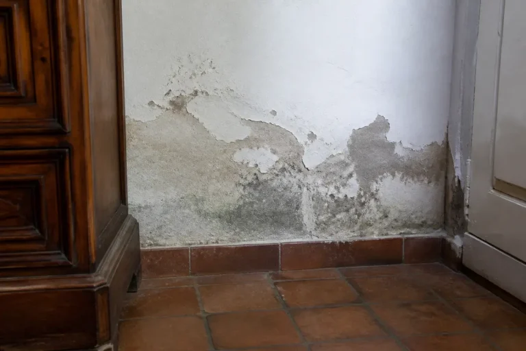 Mur intérieur détérioré par l'humidité, peinture écaillée, carrelage en terre cuite, meuble en bois visible.