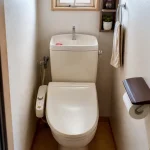 Toilettes compactes avec lave-mains intégré et petites étagères pour économiser l'espace